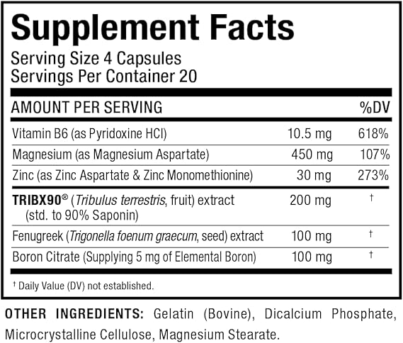 61SPqigqFjL._AC_SX569_